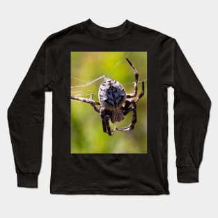 The Orb Weaver Spider hanging out in the Bush! Long Sleeve T-Shirt